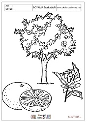 Ağaç boyama sayfaları 